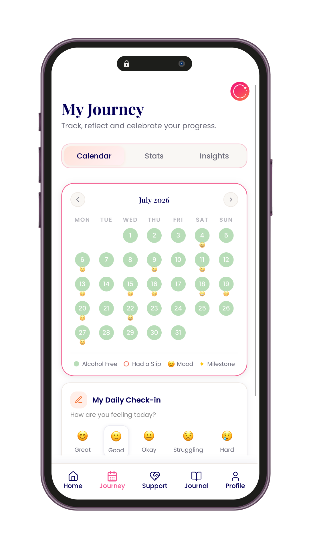 RESET journey calendar showing alcohol free days and moods