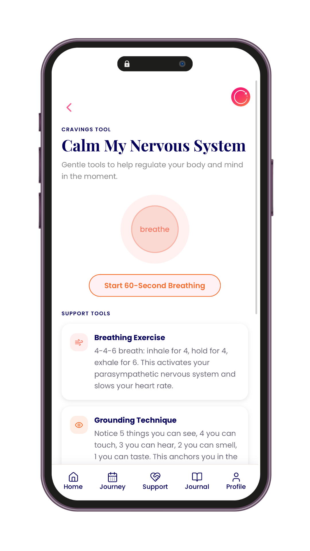 RESET gentle nervous system support