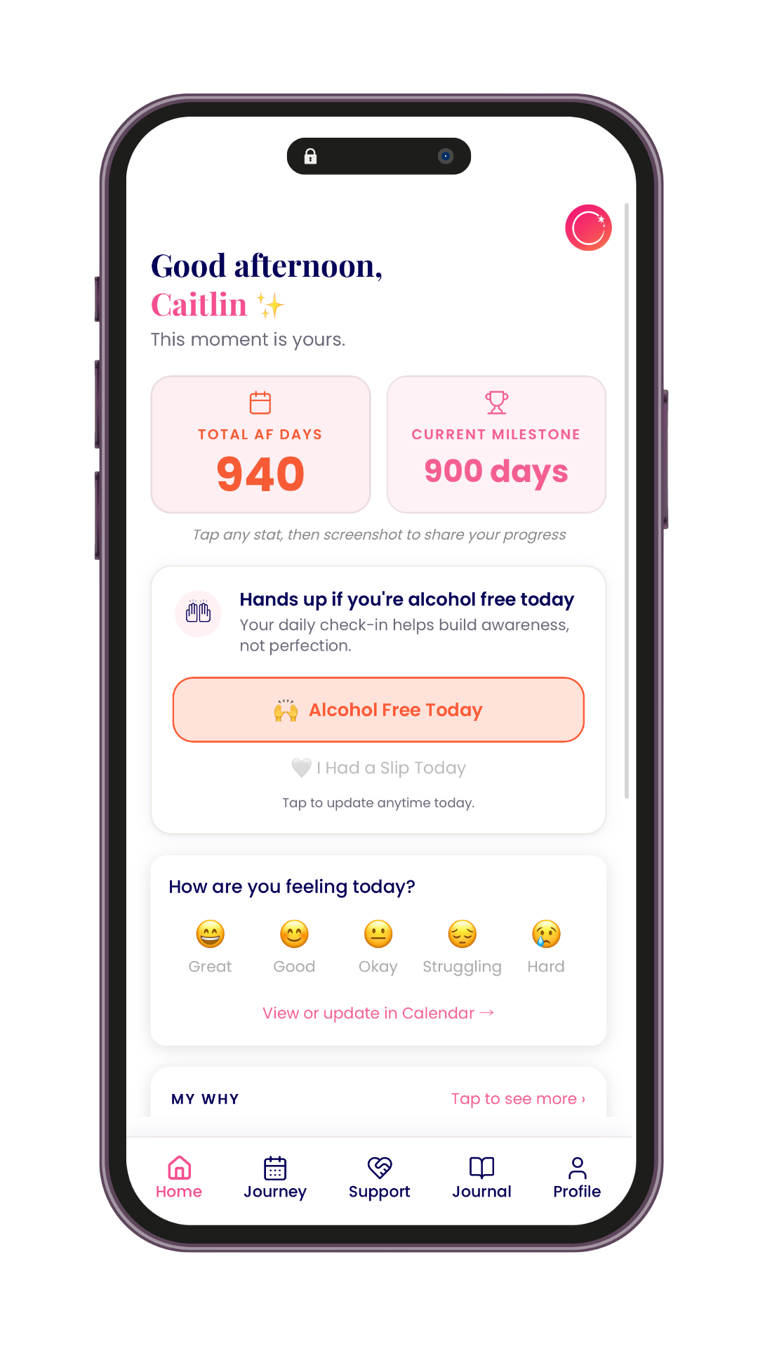 RESET daily check-in and mood tracking home screen