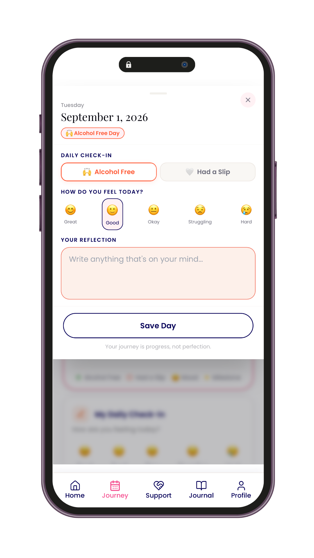 RESET Daily Check-in screen